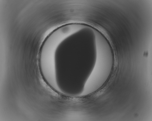 X0000111020958200907101337