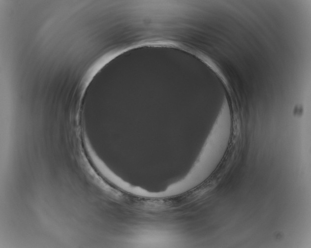 X0000111020959200907101337