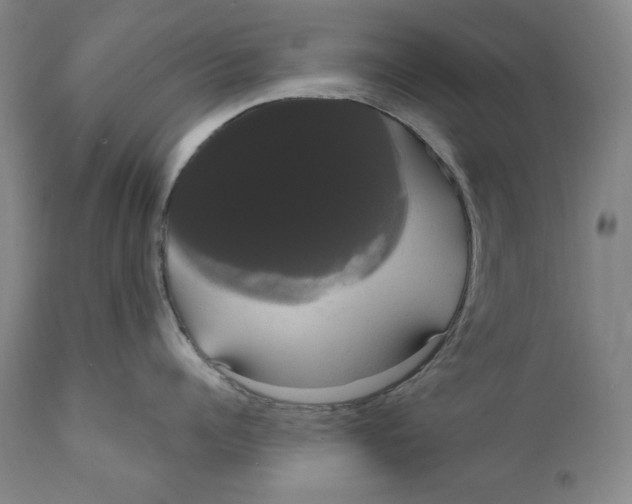 X0000111020960200907101337