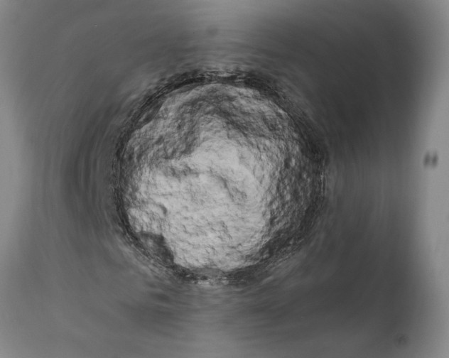 X0000111020961200907101336