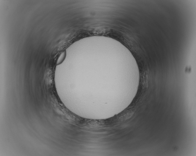 X0000111020962200907101336