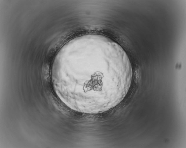 X0000111020963200907101336