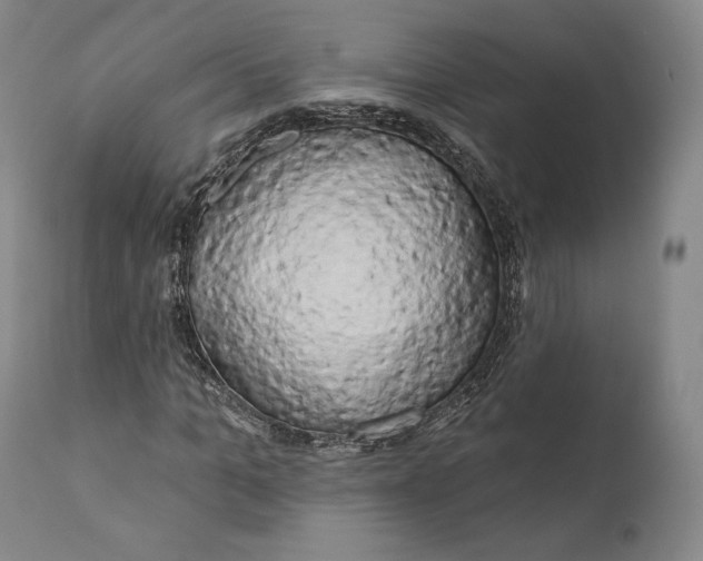 X0000111020965200907101336