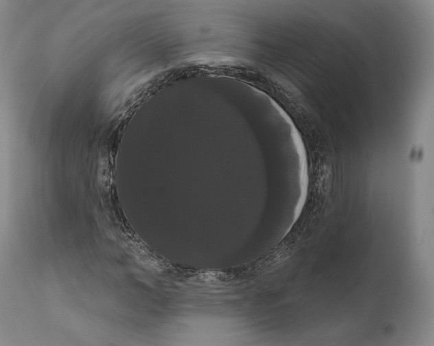 X0000111020966200907101336