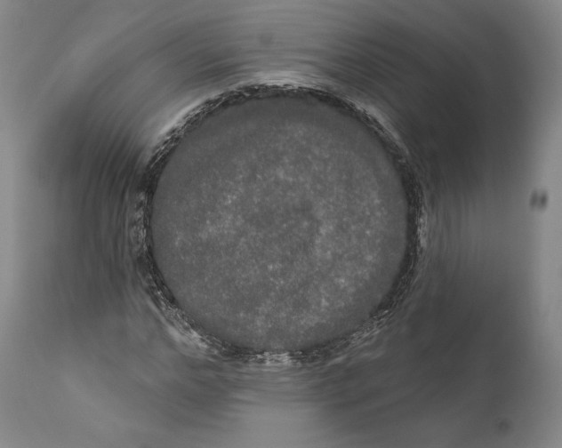 X0000111020968200907101336