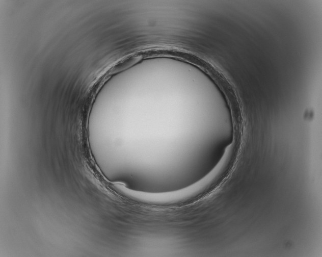 X0000111020969200907101336