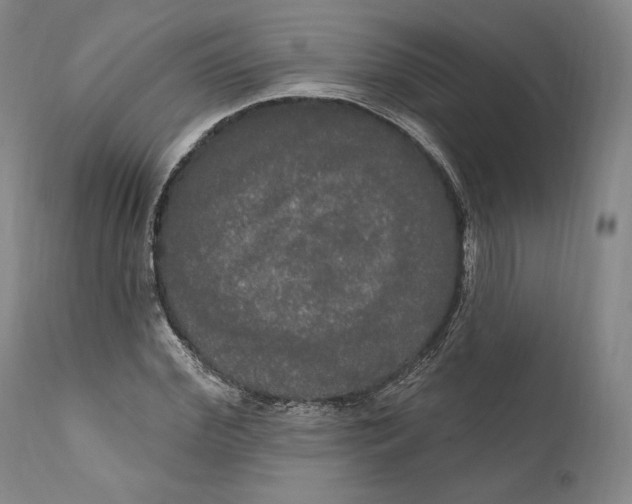 X0000111020972200907101336