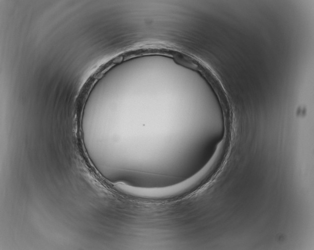 X0000111020973200907101336