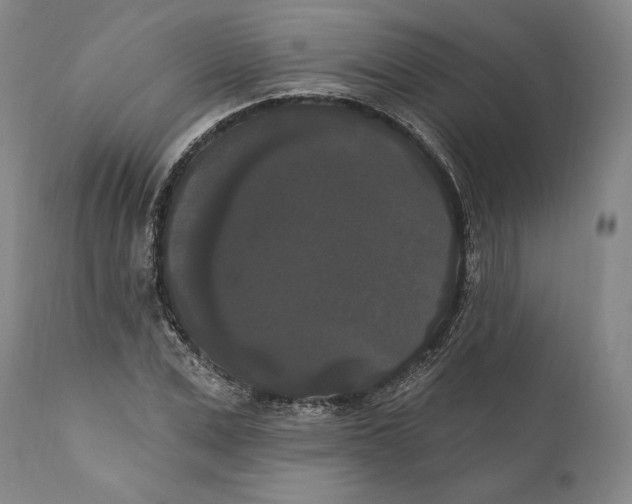 X0000111020975200907101336