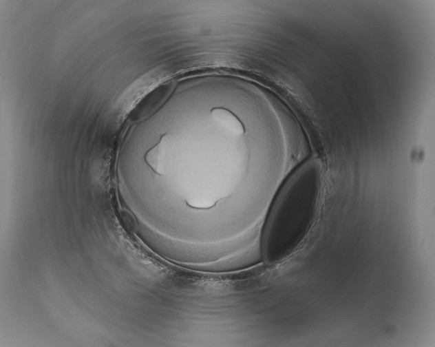 X0000111020977200907101336