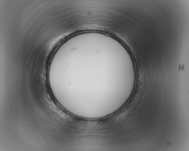 X0000111020979200907101336