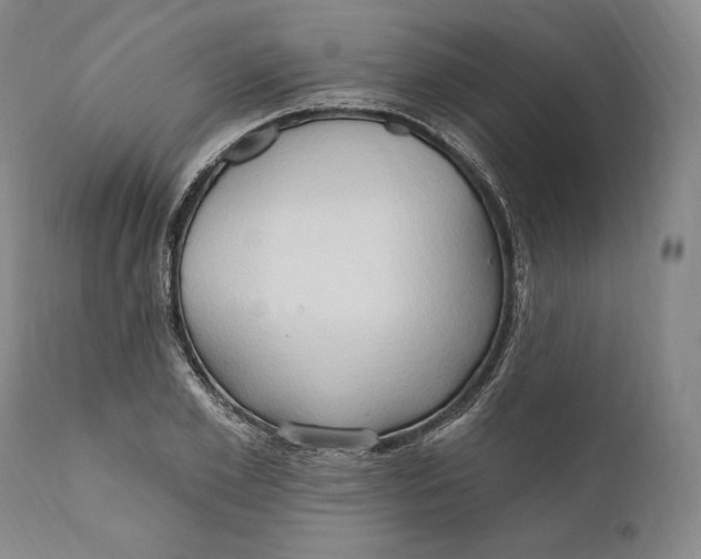 X0000111020981200907101336