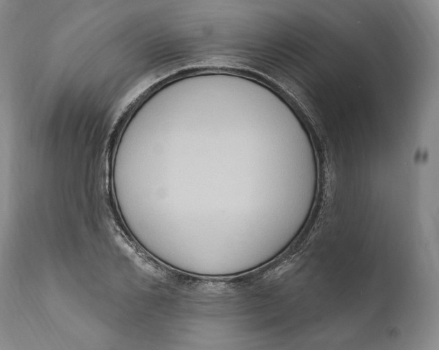 X0000111020982200907101336