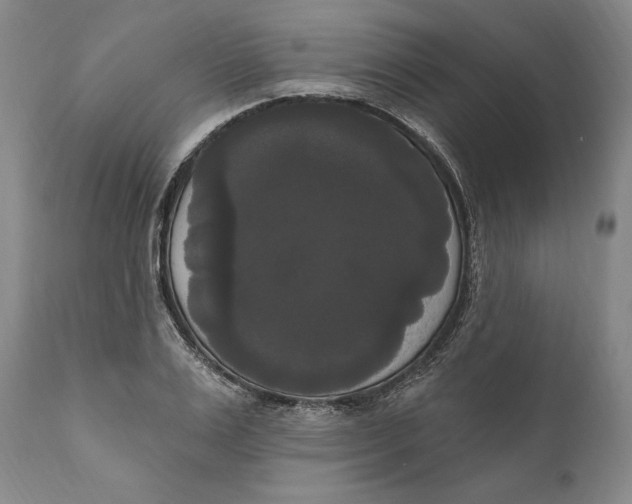 X0000111020983200907101336