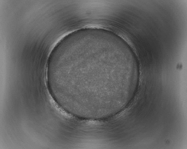 X0000111020984200907101336