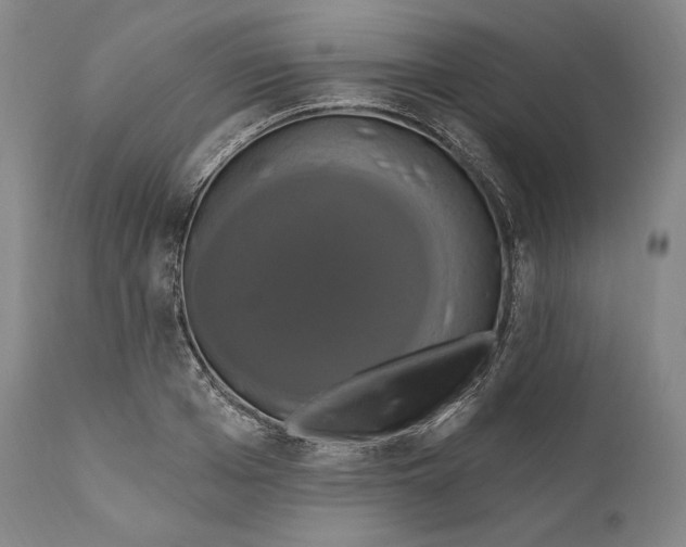 X0000111020985200907101336