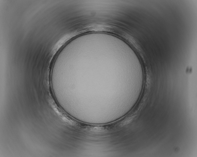 X0000111020986200907101336
