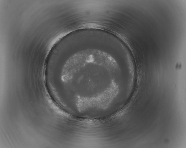 X0000111020987200907101336