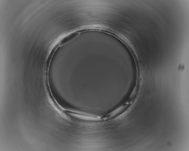 X0000111020989200907101336