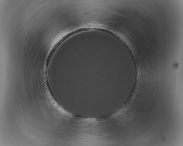 X0000111020990200907101336