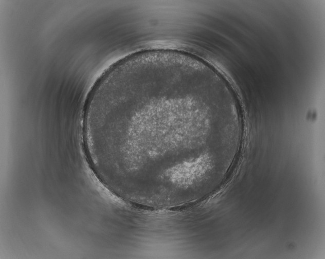 X0000111020992200907101336