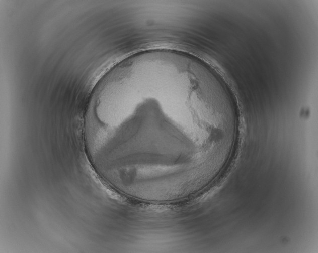 X0000111020993200907101336