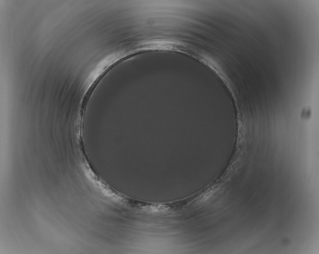 X0000111020994200907101336