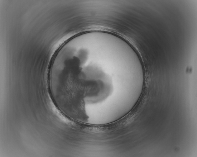 X0000111020995200907101336