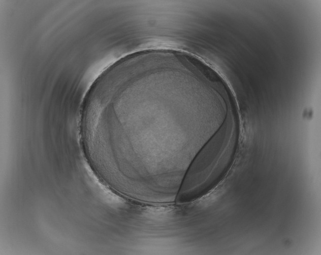 X0000111020997200907101336