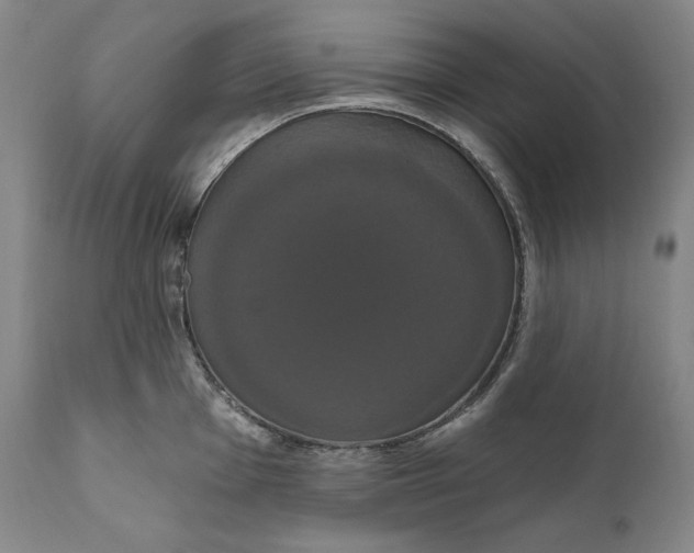 X0000111021001200907101336