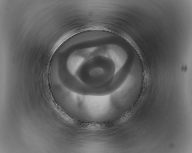 X0000111021002200907101336