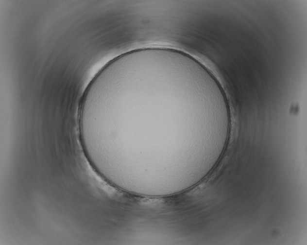 X0000111021006200907101336