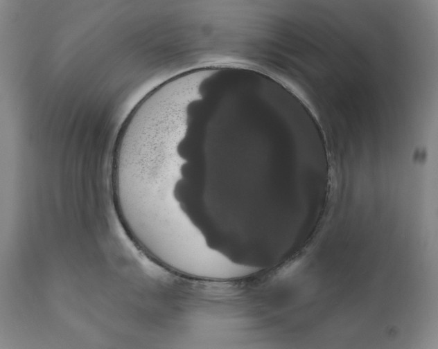 X0000111021007200907101335