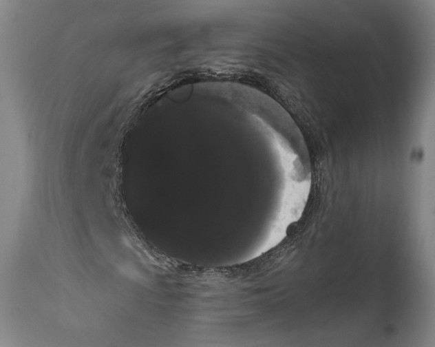 X0000111021009200907101335