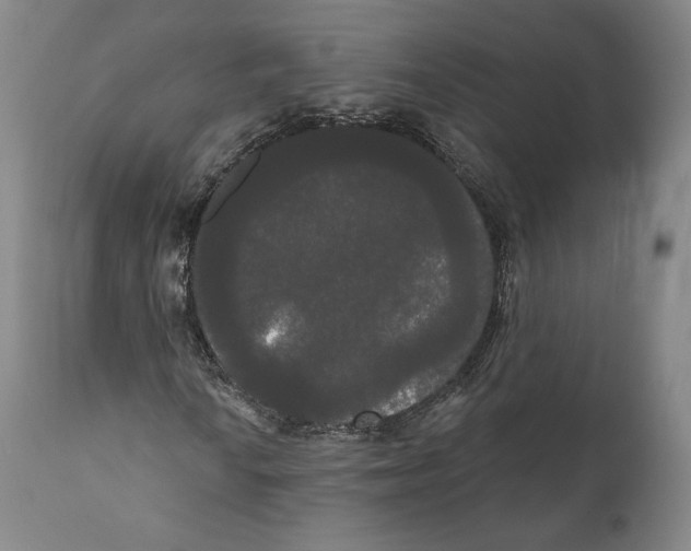 X0000111021010200907101335