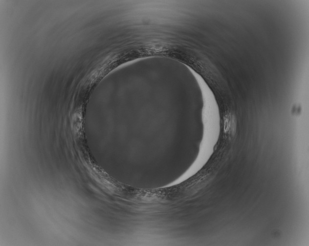 X0000111021011200907101335