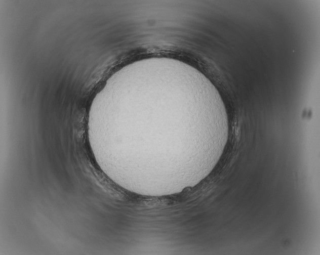 X0000111021012200907101335