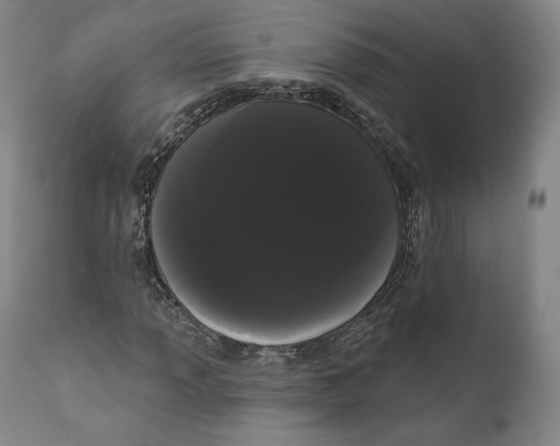 X0000111021013200907101335