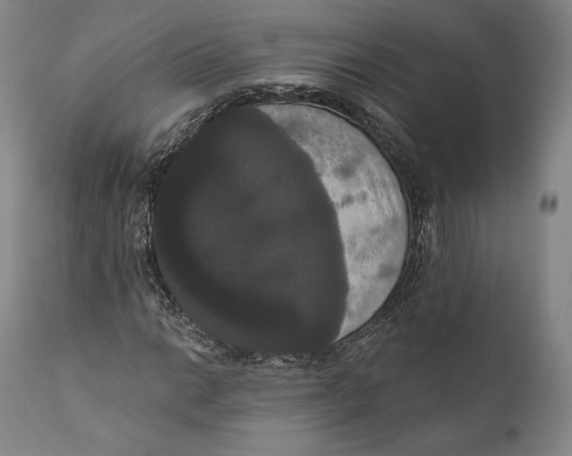 X0000111021014200907101335