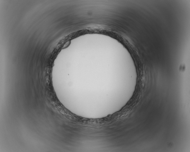 X0000111021016200907101335