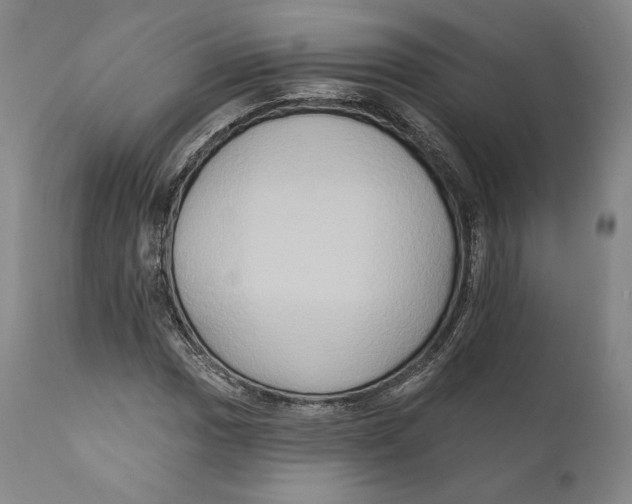 X0000111021017200907101335