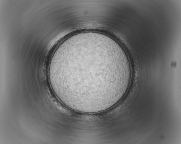X0000111021018200907101335