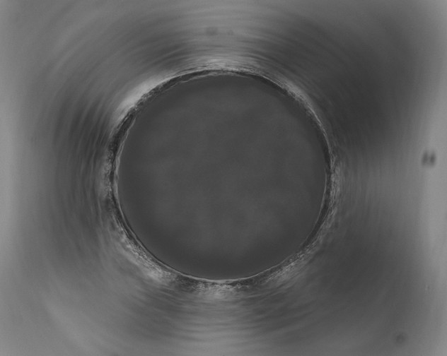 X0000111021019200907101335