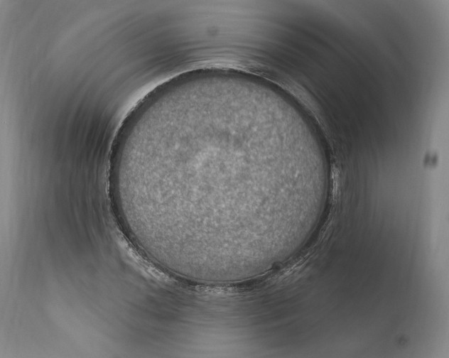 X0000111021020200907101335