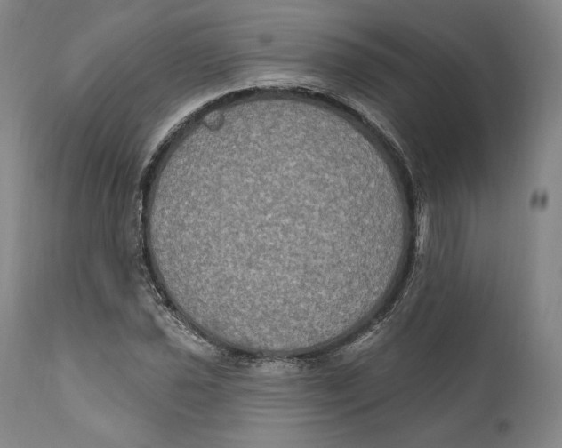 X0000111021021200907101335