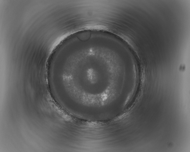 X0000111021022200907101335