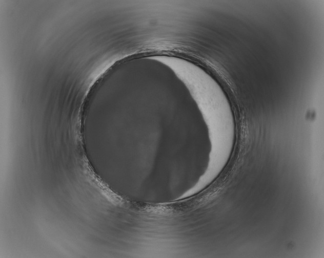 X0000111021023200907101335
