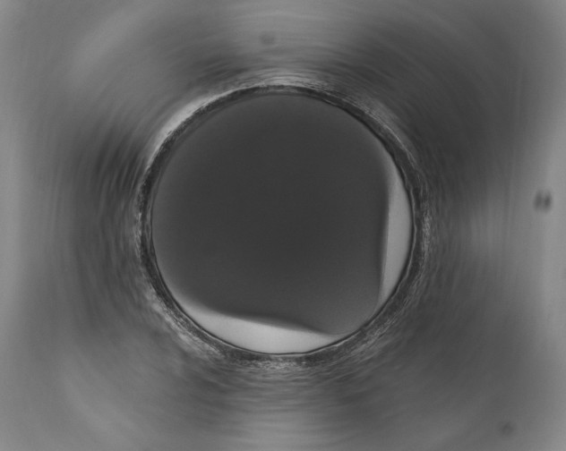 X0000111021024200907101335