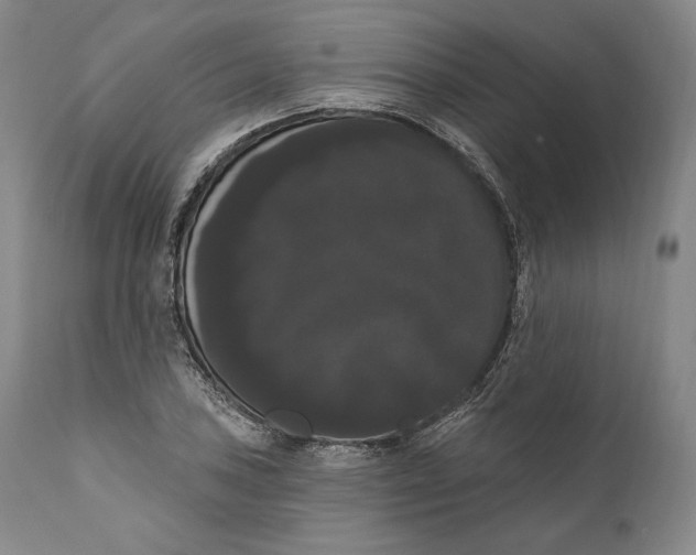 X0000111021027200907101335