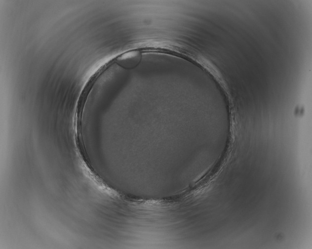 X0000111021028200907101335